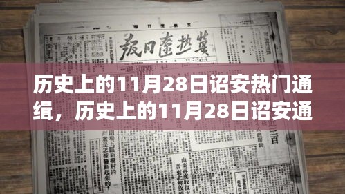 東張西望 第5頁(yè)