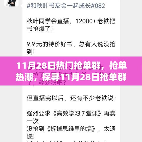 探尋搶單熱潮背后的故事，揭秘11月28日搶單群影響力與故事