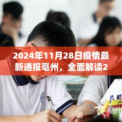 2024年11月28日亳州疫情最新通報全面解讀，特性、體驗、競品對比及用戶分析