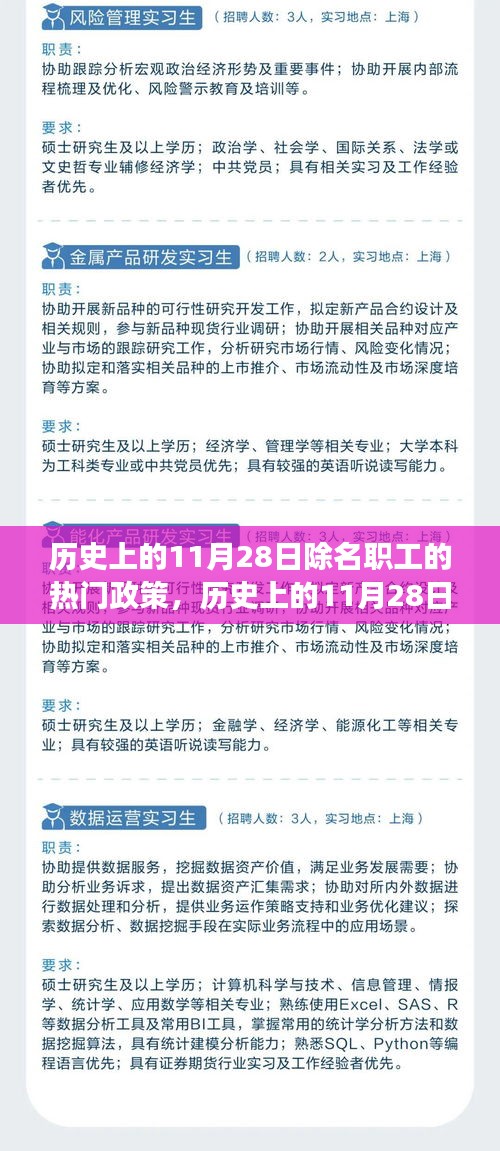 歷史上的11月28日除名職工政策下的智能生活革新之旅，智能助手體驗(yàn)探索