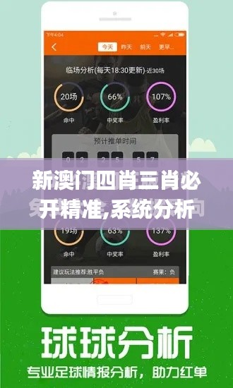 新澳門四肖三肖必開精準,系統(tǒng)分析方案設計_美學版BZZ53.591