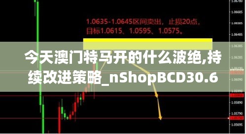 今天澳門(mén)特馬開(kāi)的什么波絕,持續(xù)改進(jìn)策略_nShopBCD30.691