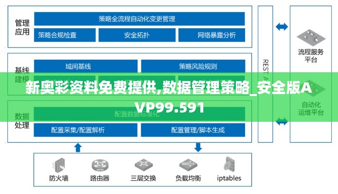 新奧彩資料免費提供,數(shù)據(jù)管理策略_安全版AVP99.591