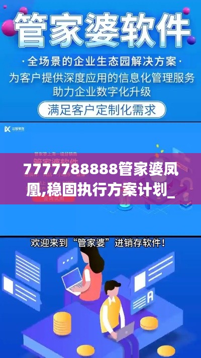 7777788888管家婆鳳凰,穩(wěn)固執(zhí)行方案計劃_安全版SDW99.925