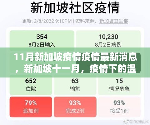 新加坡十一月疫情下的溫馨日常與友情力量，最新疫情消息