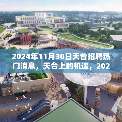 2024年11月30日天臺(tái)招聘熱門消息，探尋天臺(tái)上的職業(yè)機(jī)遇