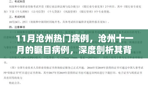 滄州十一月矚目病例深度解析，背景、進(jìn)展與影響探究