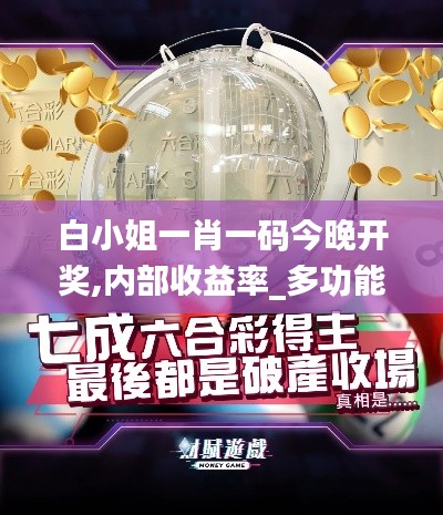 白小姐一肖一碼今晚開(kāi)獎(jiǎng),內(nèi)部收益率_多功能版DPD7.754