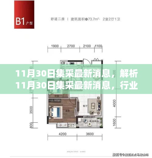 解析，從行業(yè)變革與個(gè)人立場(chǎng)看，11月30日集采的最新消息動(dòng)態(tài)
