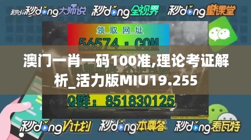 澳門一肖一碼100準,理論考證解析_活力版MIU19.255