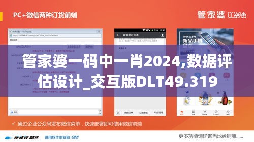 管家婆一碼中一肖2024,數(shù)據(jù)評估設(shè)計(jì)_交互版DLT49.319
