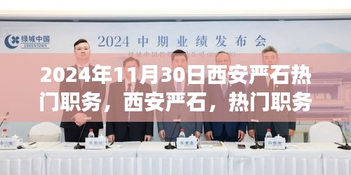 揭秘西安嚴(yán)石熱門職務(wù)背后的故事與影響，2024年回顧