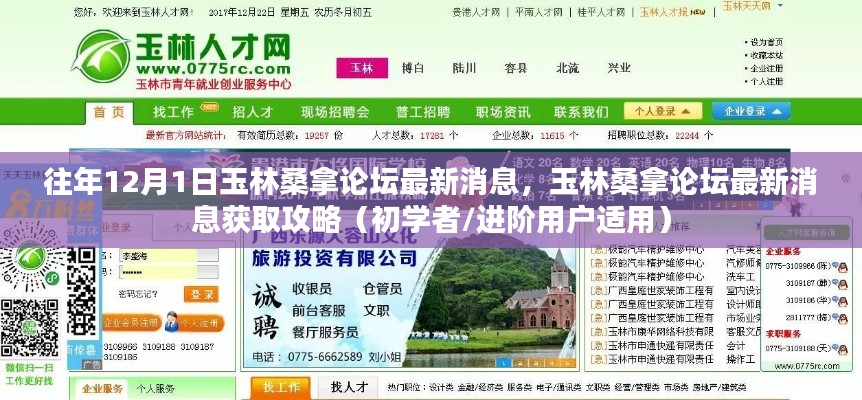 往年12月1日玉林桑拿論壇最新消息全解析，獲取攻略初學(xué)者與進(jìn)階用戶必讀