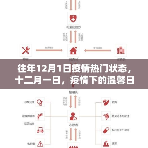 疫情下的溫馨日常與友情紐帶，十二月一日的抗疫記憶