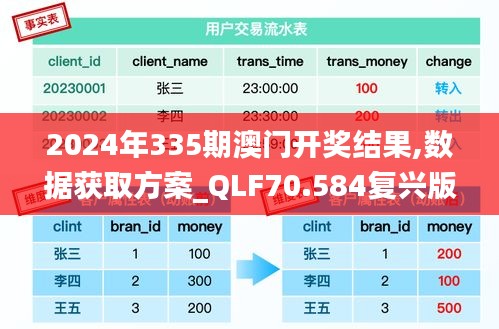 2024年335期澳門開獎結(jié)果,數(shù)據(jù)獲取方案_QLF70.584復(fù)興版