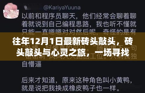 尋找內(nèi)心平靜的奇妙冒險，磚頭敲頭與心靈之旅
