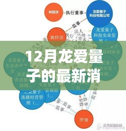 揭秘十二月龍愛量子最新動態(tài)，進(jìn)展、領(lǐng)域地位與背景解析
