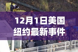 紐約最新事件，夢想起航之地，學習變革照亮未來之路