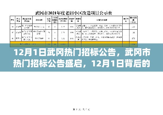 揭秘武岡市熱門招標公告背后的故事與影響，12月1日盛啟