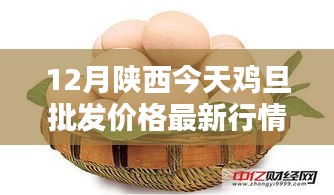 陜西今日雞蛋批發(fā)價(jià)格詳解，最新行情、查詢(xún)方法與應(yīng)對(duì)策略