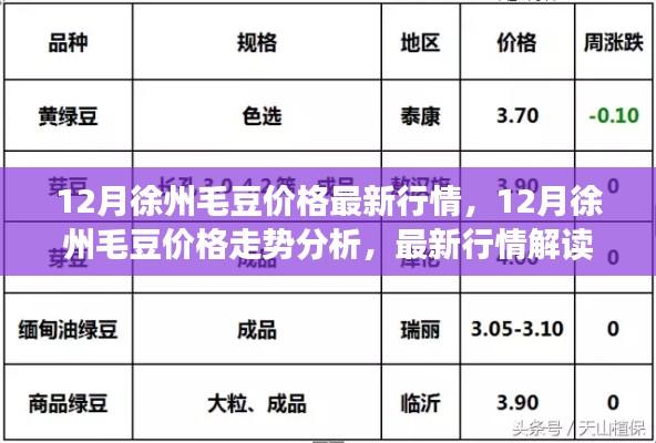 徐州毛豆行情解析，最新價格走勢與解讀