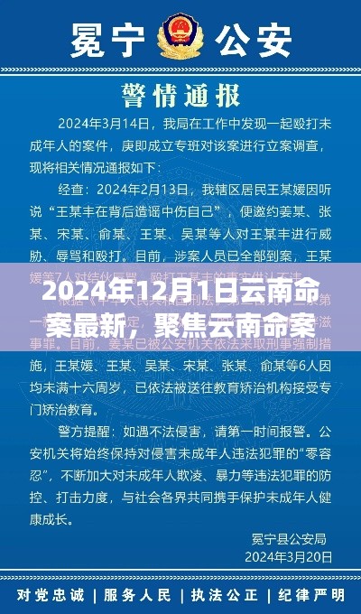 聚焦云南命案，最新進(jìn)展與深度解讀（2024年12月版）