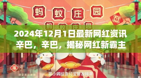 揭秘網(wǎng)紅霸主辛巴，小紅書最新資訊揭秘其背后的故事（2024年12月）