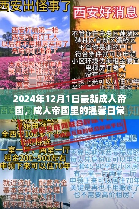 成人帝國里的溫馨日常，陽光故事2024年12月1日