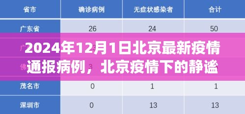 北京疫情通報(bào)病例下的靜謐之旅，自然美景的心靈之旅