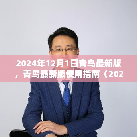 青鳥最新版使用指南（2024年12月版），初學(xué)者與進(jìn)階用戶指南共鑒