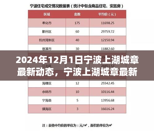 2024年寧波上湖城章最新動態(tài)揭秘，關(guān)鍵步驟助你輕松掌握最新消息