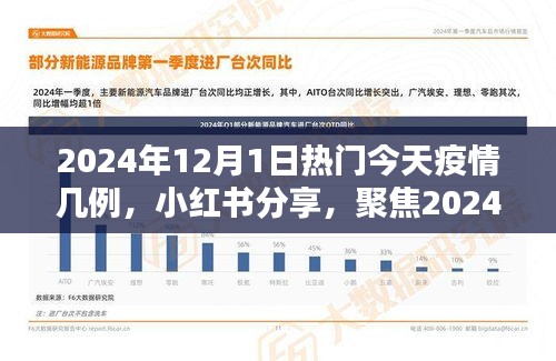 小紅書分享，聚焦2024年12月1日疫情最新動(dòng)態(tài)及今日疫情數(shù)據(jù)報(bào)告