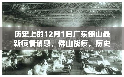 廣東佛山疫情回顧與最新動(dòng)態(tài)，歷史上的十二月一日疫情影響與戰(zhàn)疫進(jìn)展