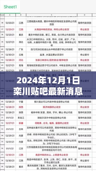 欒川貼吧最新消息今日焦點(diǎn)解析（2024年12月1日）