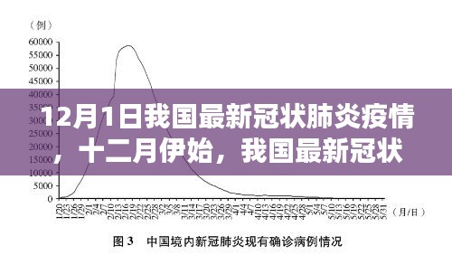 我國最新冠狀肺炎疫情深度解析，十二月伊始的疫情動態(tài)分析