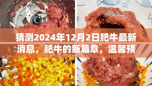 肥牛新篇章，溫馨預(yù)測肥牛最新消息，展望驚喜日常