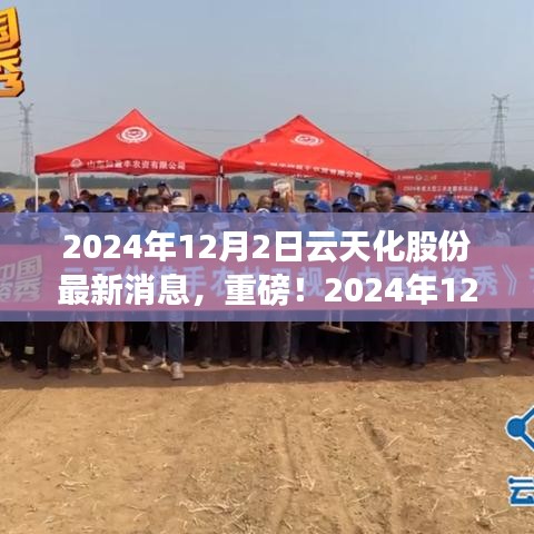獨(dú)家揭秘，云天化股份最新動(dòng)態(tài)與未來展望（2024年12月2日更新）