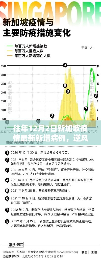 新加坡疫情下的勵志篇章，逆風(fēng)砥柱，學(xué)習(xí)變化的力量與自信之路——歷年12月2日最新數(shù)據(jù)回顧