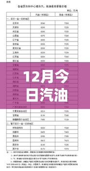 最新汽油價格分析，揭示多重因素背后的走勢與個人觀點