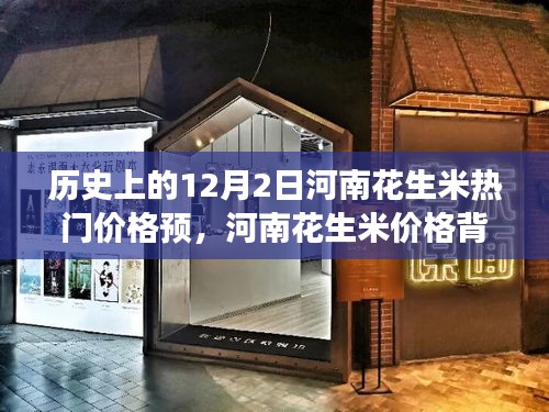 河南花生米價格背后的故事，友情與陪伴的冬日奇遇在12月2日揭曉的熱門預(yù)測