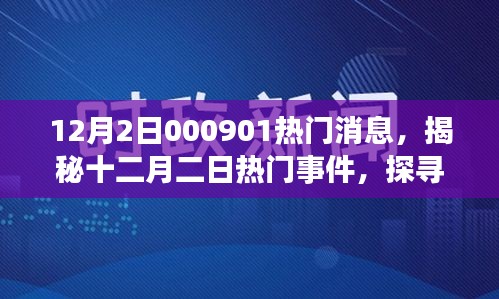 揭秘十二月二日熱門事件內幕，探尋消息背后的故事與影響