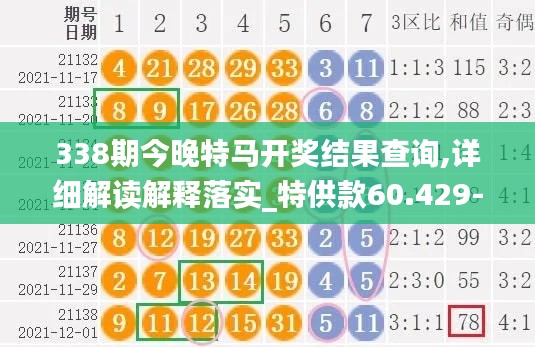 338期今晚特馬開獎結(jié)果查詢,詳細解讀解釋落實_特供款60.429-2