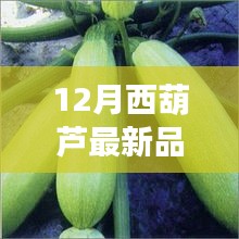 美輪美奐 第5頁(yè)