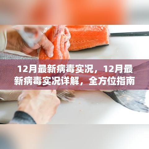 全方位指南，12月病毒威脅詳解與防范應(yīng)對(duì)策略