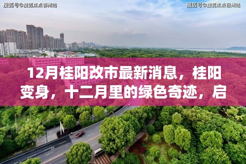 12月桂陽改市最新動態(tài)，綠色奇跡啟程，心靈之旅開啟