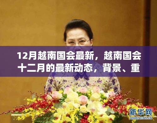越南國會十二月最新動態(tài)，背景、重要事件與時代地位解析