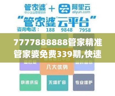 7777888888管家精準(zhǔn)管家婆免費(fèi)339期,快速問題處理策略_Z40.654-7