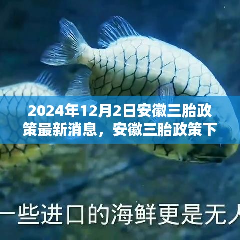 安徽三胎政策下的科技育兒革新，全新智能母嬰管理系統(tǒng)誕生與體驗(yàn)紀(jì)實(shí)（最新消息）