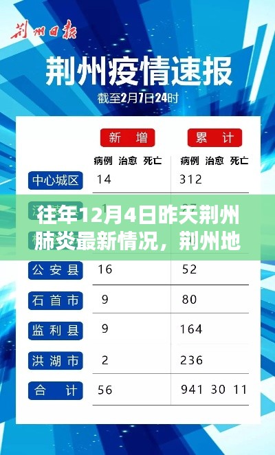 荊州地區(qū)往年12月4日昨日肺炎最新情況回顧與影響分析，回顧與啟示