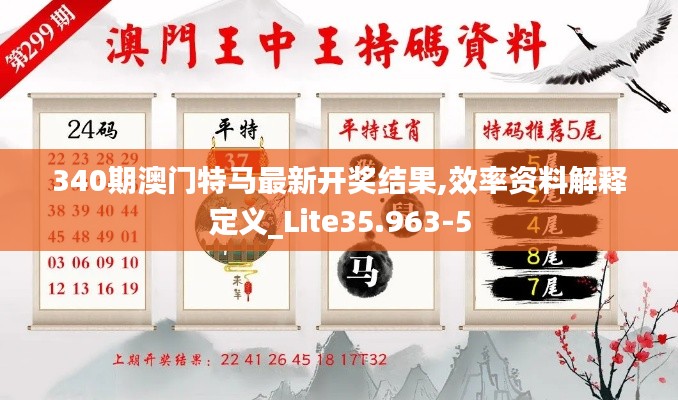 340期澳門特馬最新開獎(jiǎng)結(jié)果,效率資料解釋定義_Lite35.963-5